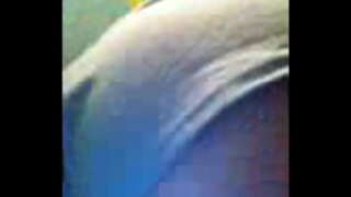 ���िडवणे कामावर भाग 1 चिडवणे शौचालय येथे काम