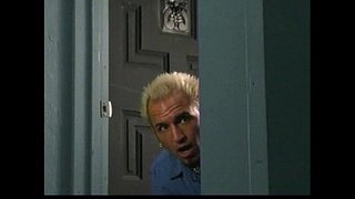 Shyla शैलीहरू