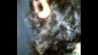 Yaramasimning eshagini sindirish