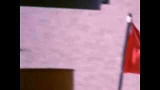 ş�曼纽空间中的7-爱的含义(1994年)