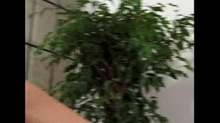 ���ြေ-လိင်လိင်-မြင်ကွင်းတစ်ခု ၈-ထုတ်ယူ ၂